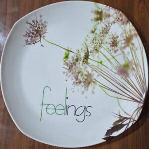 whatsapp image 2026 02 16 at 20.34.06 (2)