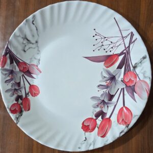 whatsapp image 2026 02 16 at 20.34.13